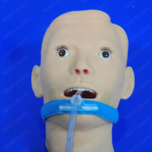 E3 Tracheal Intubation Fixation Device