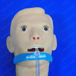 E3 Tracheal Intubation Fixation Device